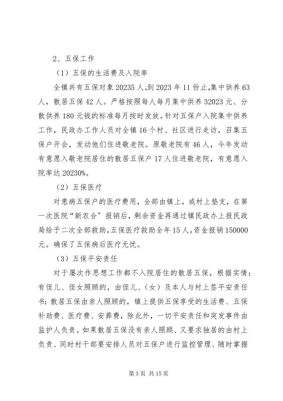 2023年乡镇政府民政工作总结.docx_第3页