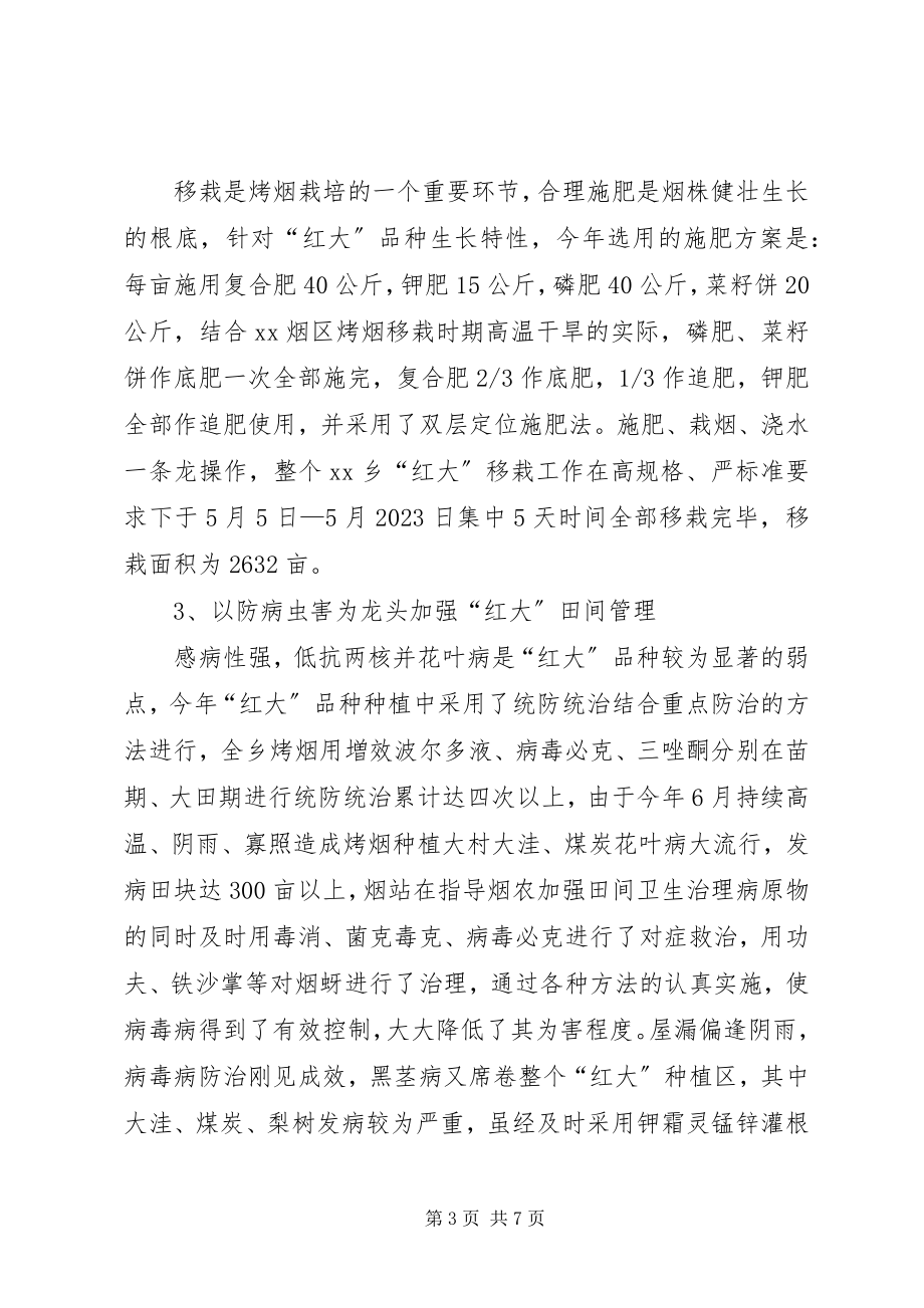 2023年烤烟红大品种示范工作总结.docx_第3页