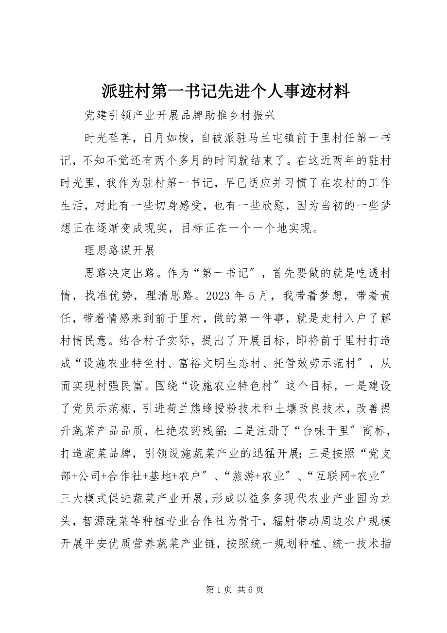 2023年派驻村第一书记先进个人事迹材料.docx_第1页