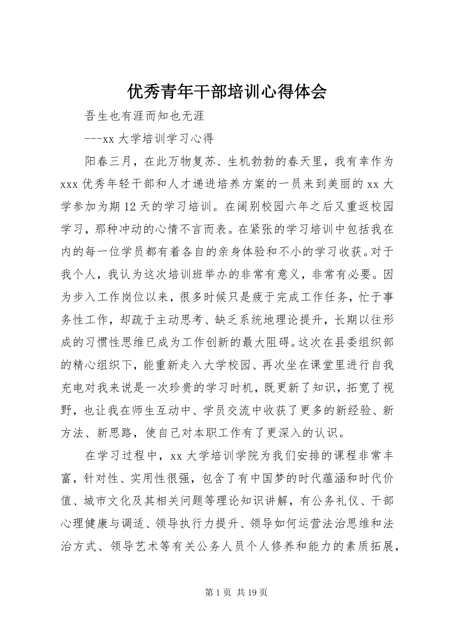 2023年优秀青年干部培训心得体会.docx_第1页