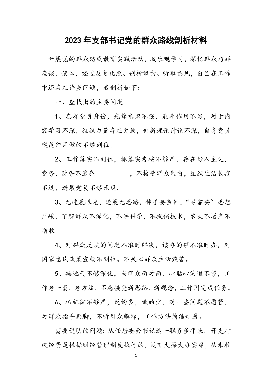 2023年支部书记党的群众路线剖析材料.docx_第1页