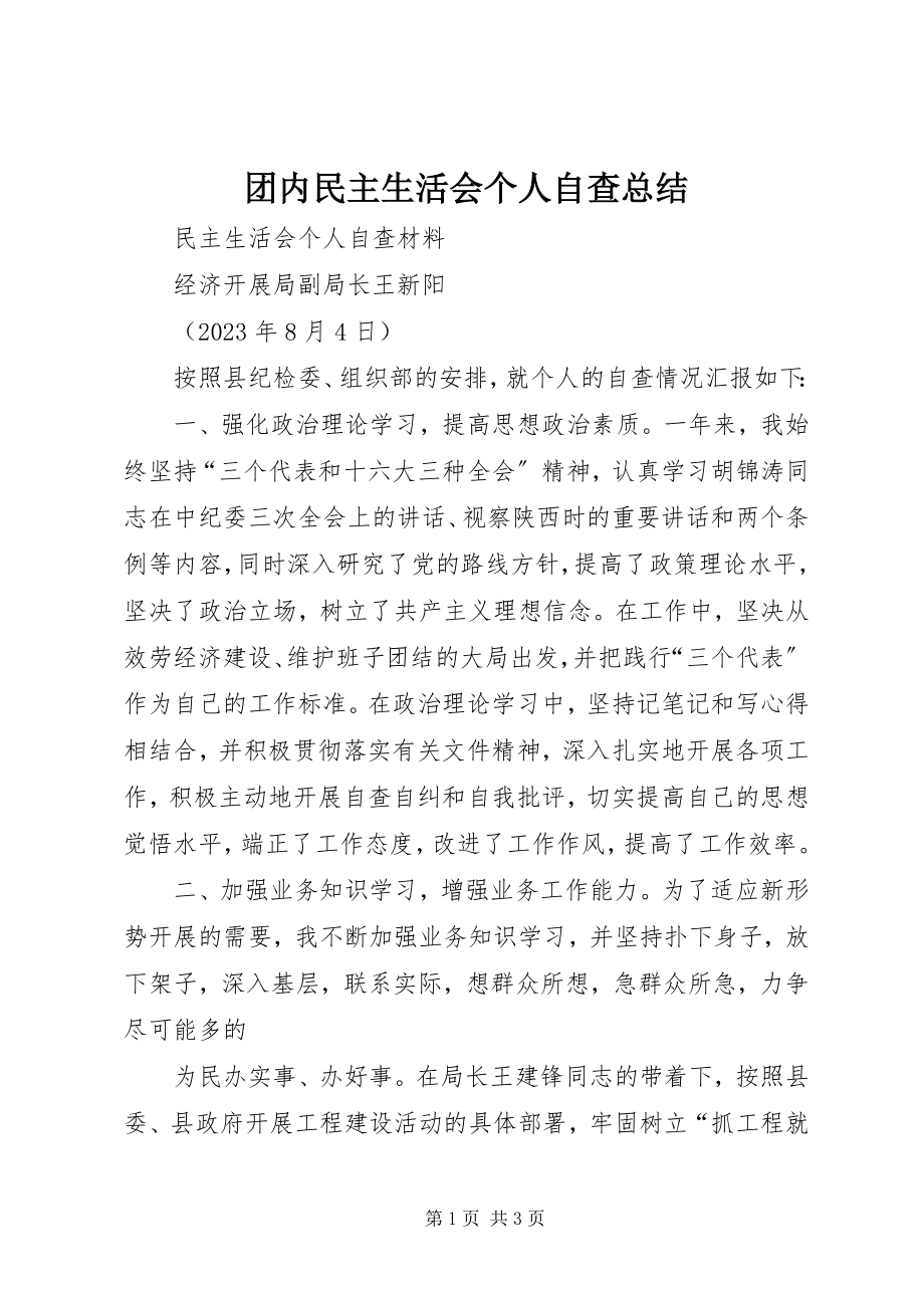 2023年团内民主生活会个人自查总结.docx_第1页