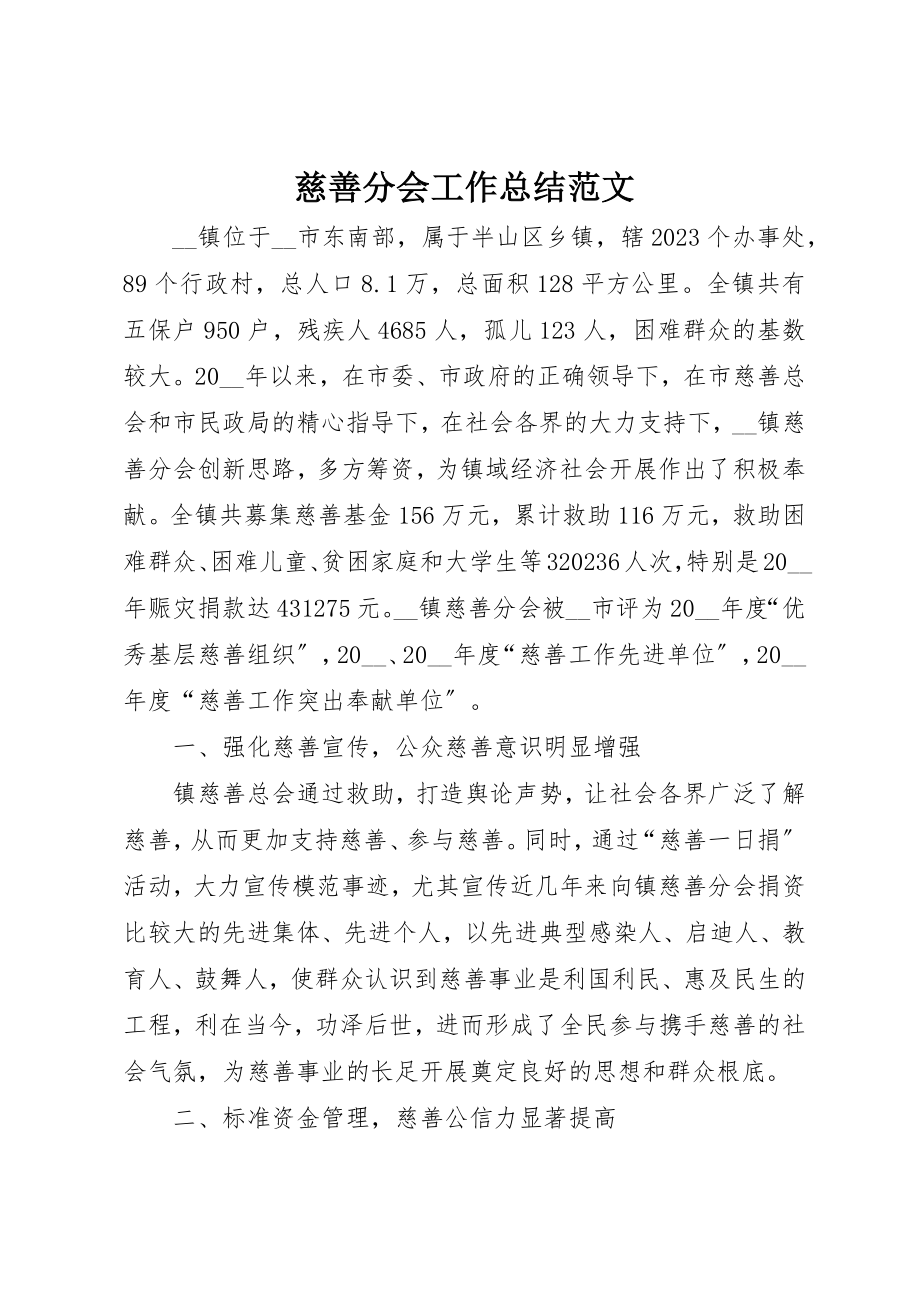 2023年慈善分会工作总结2新编.docx_第1页