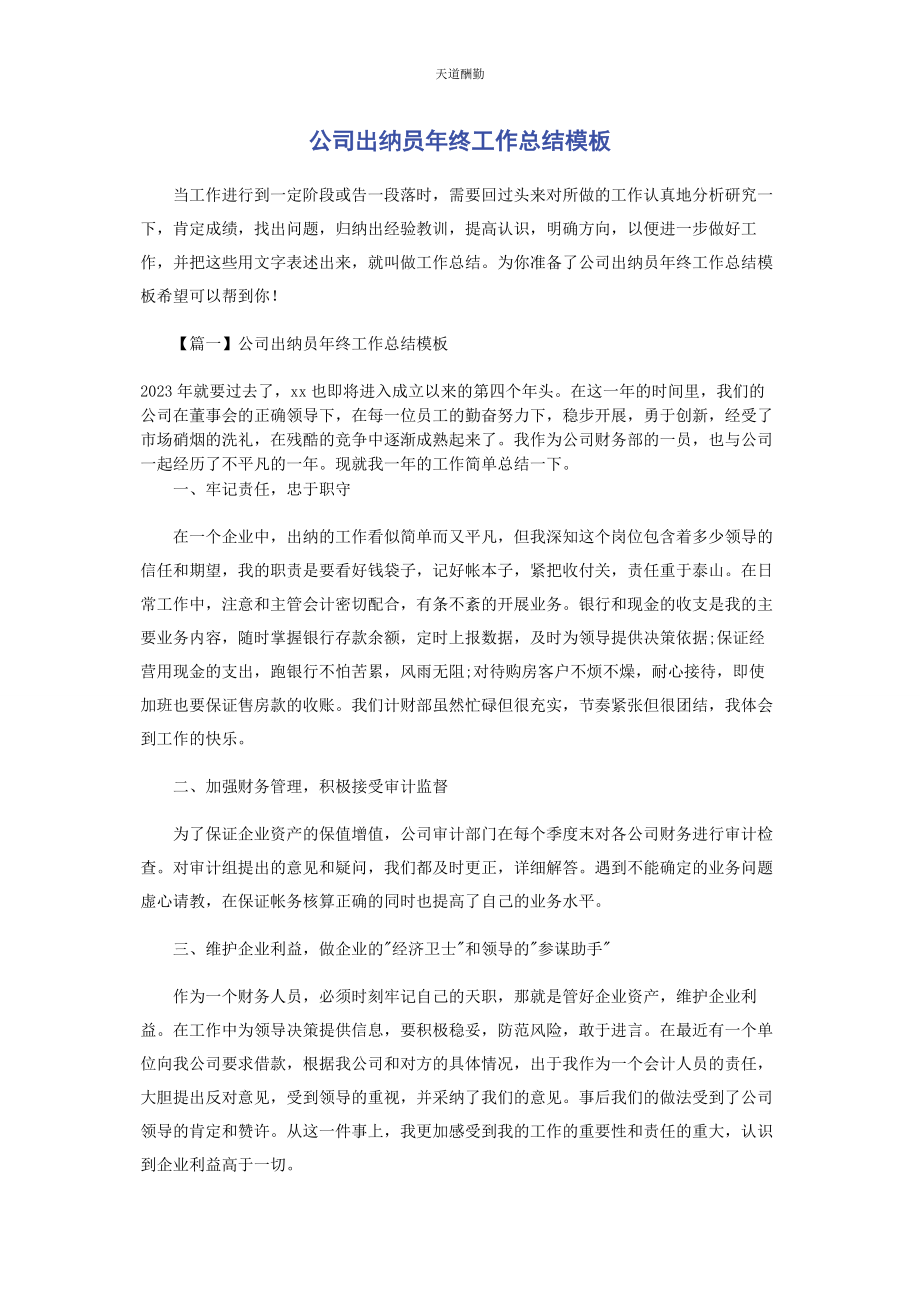 2023年公司出纳员终工作总结模板.docx_第1页