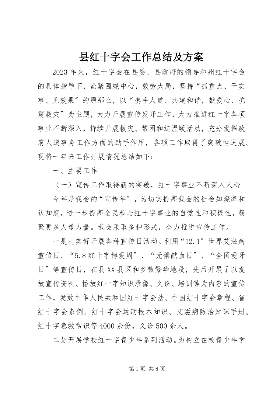 2023年县红十字会工作总结及计划.docx_第1页