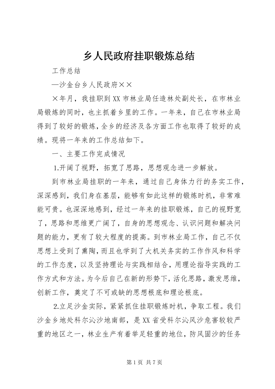 2023年乡人民政府挂职锻炼总结.docx_第1页