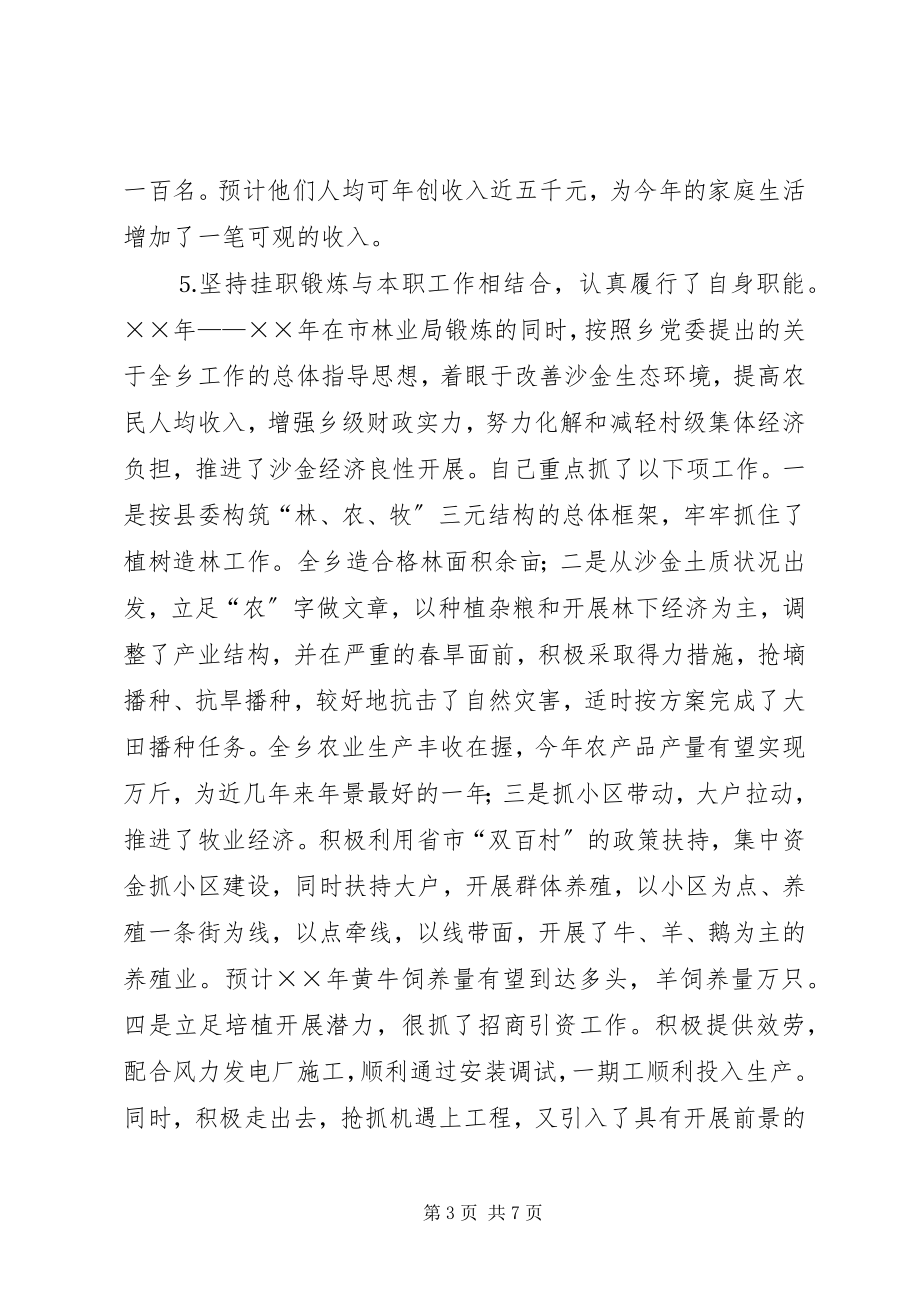 2023年乡人民政府挂职锻炼总结.docx_第3页