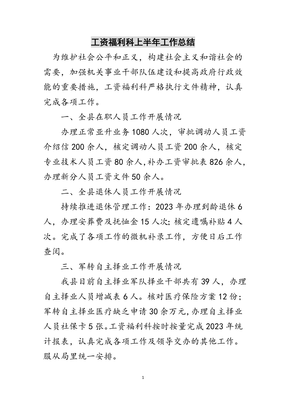 2023年工资福利科上半年工作总结范文.doc_第1页