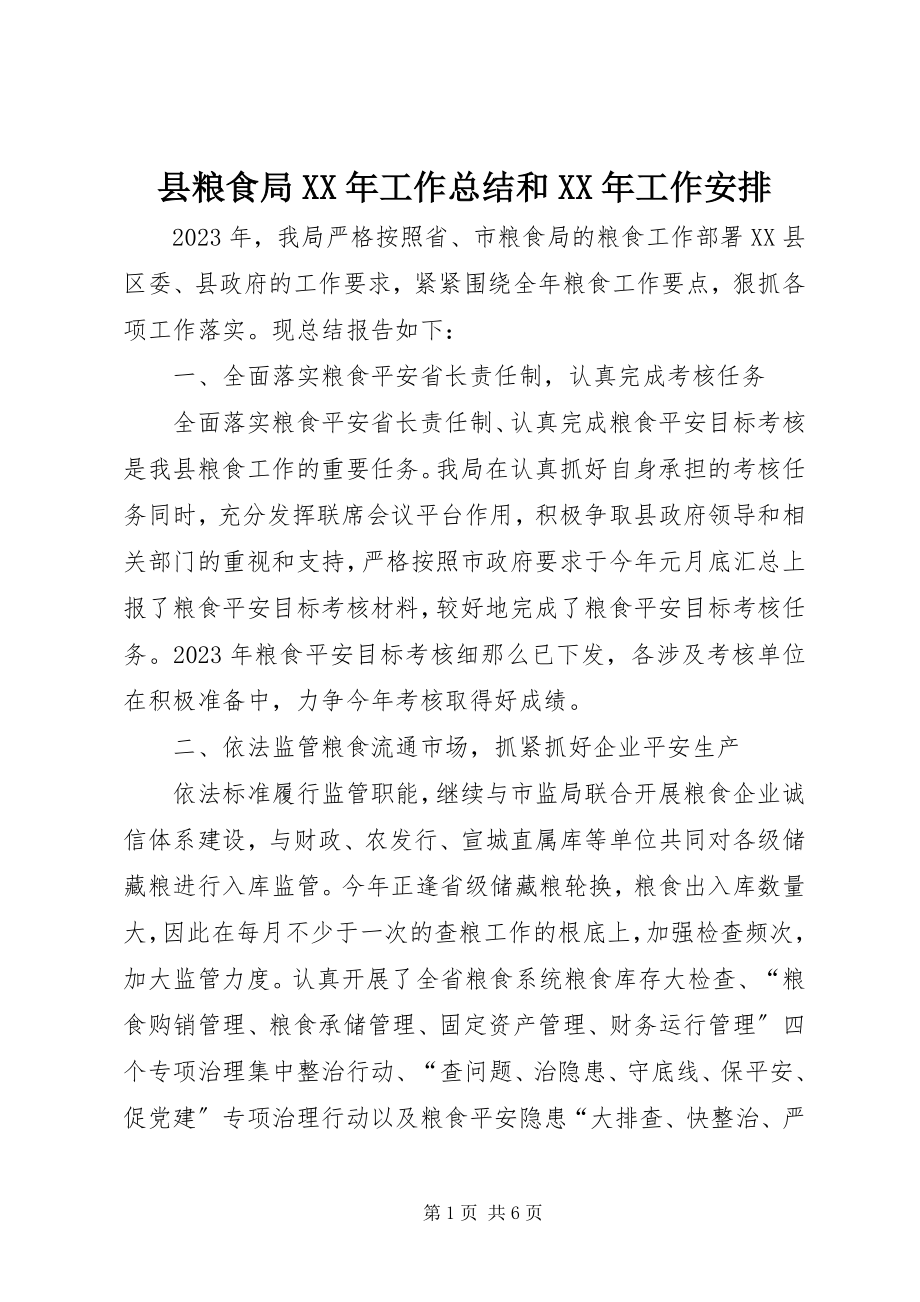 2023年县粮食局工作总结和工作安排.docx_第1页