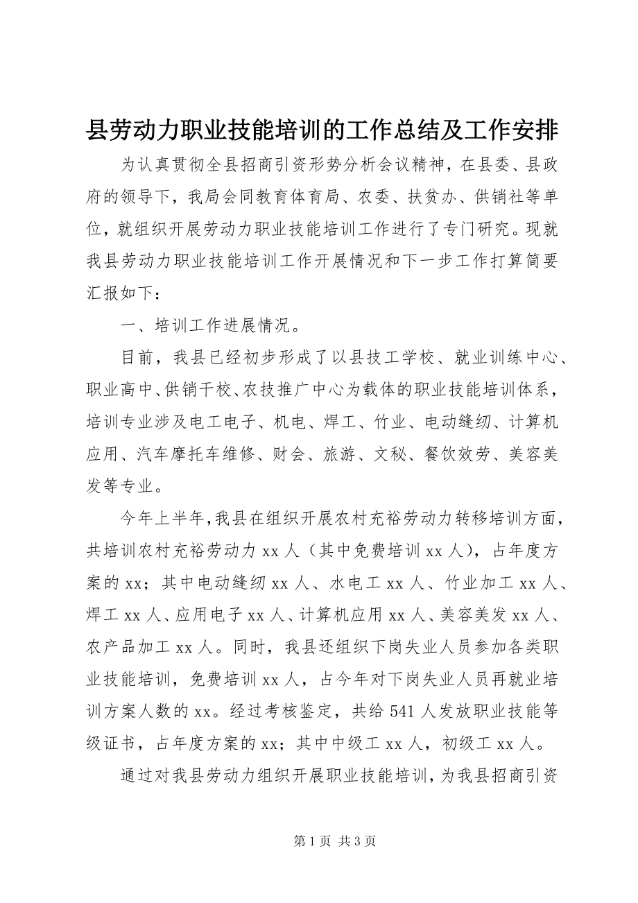 2023年县劳动力职业技能培训的工作总结及工作安排.docx_第1页