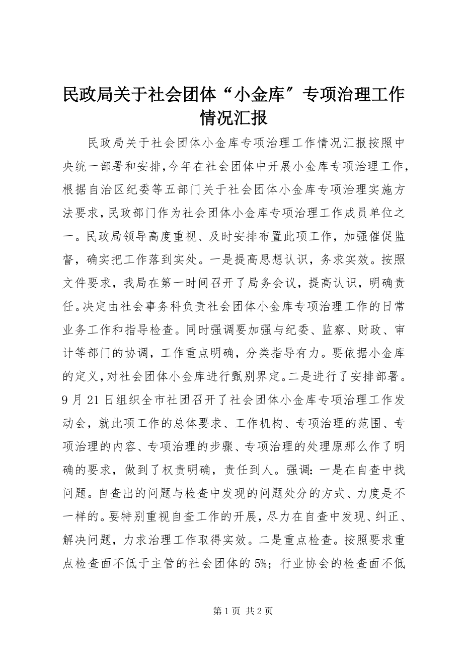 2023年民政局社会团体“小金库”专项治理工作情况汇报.docx_第1页