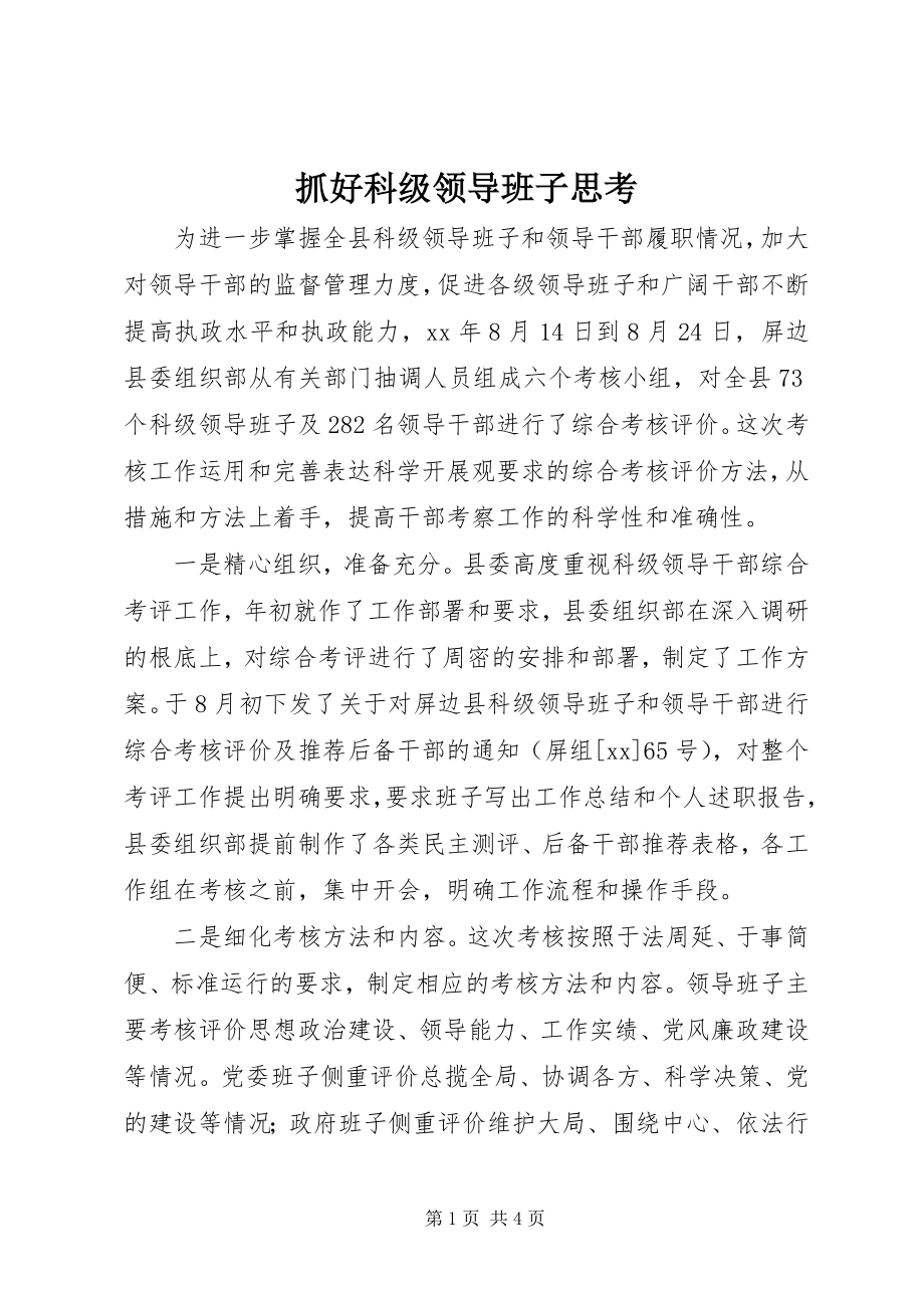 2023年抓好科级领导班子思考.docx_第1页