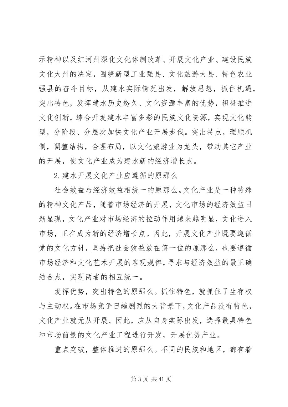 2023年文化项目策划书2.docx_第3页