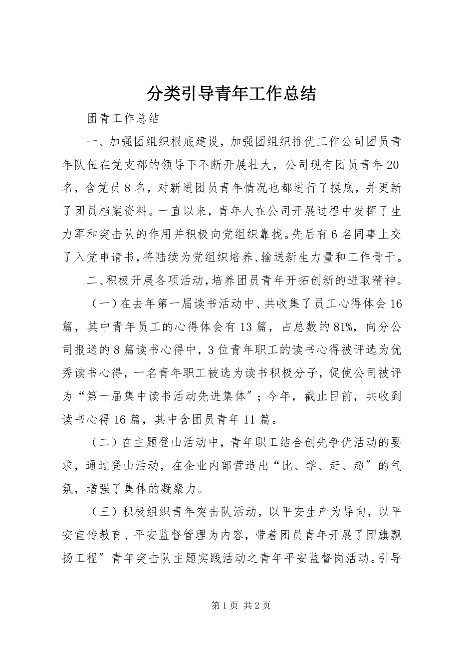 2023年分类引导青年工作总结.docx_第1页