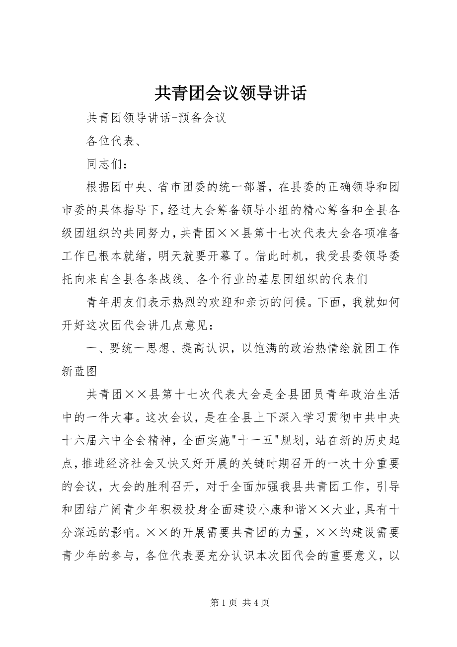 2023年共青团会议领导致辞.docx_第1页