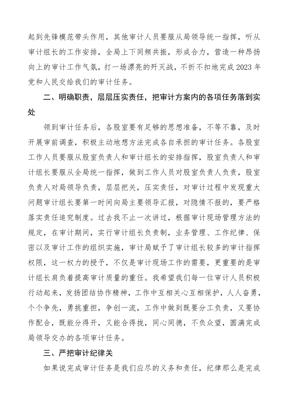 2023年审计工作动员会议领导讲话.doc_第2页