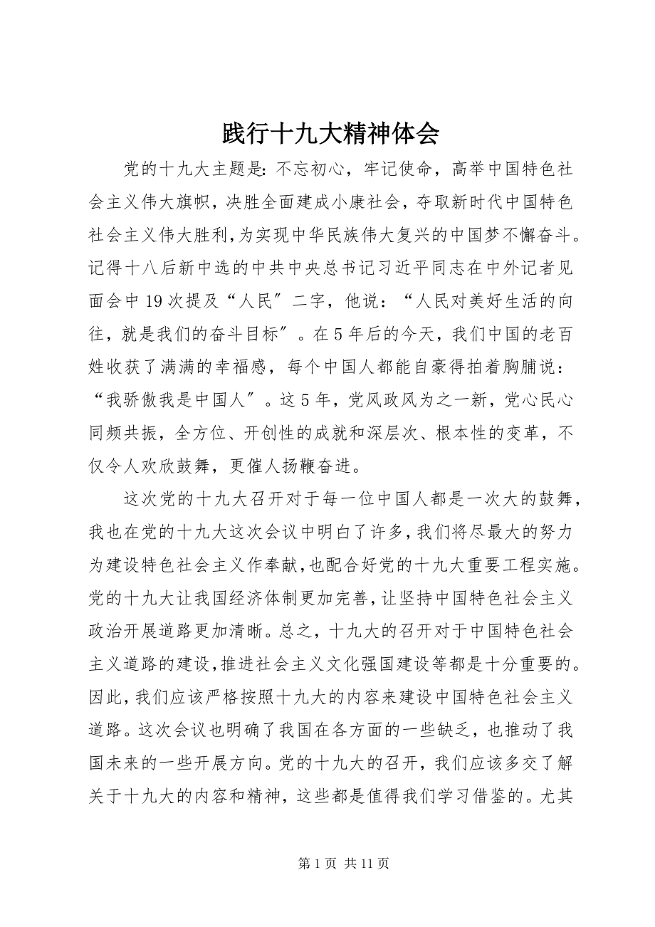 2023年践行十九大精神体会.docx_第1页