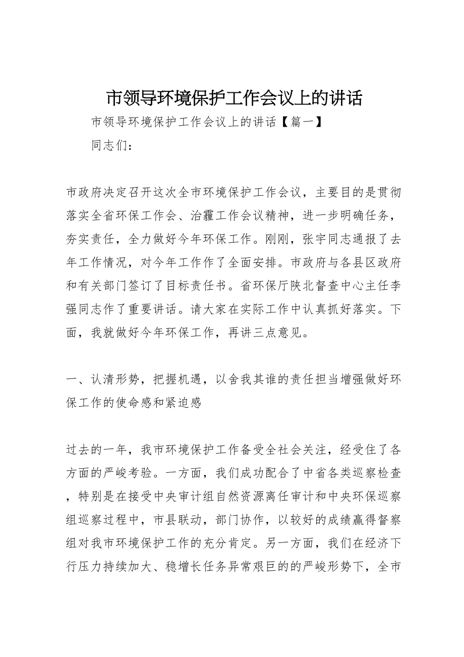 2023年市领导环境保护工作会议上的致辞.doc_第1页