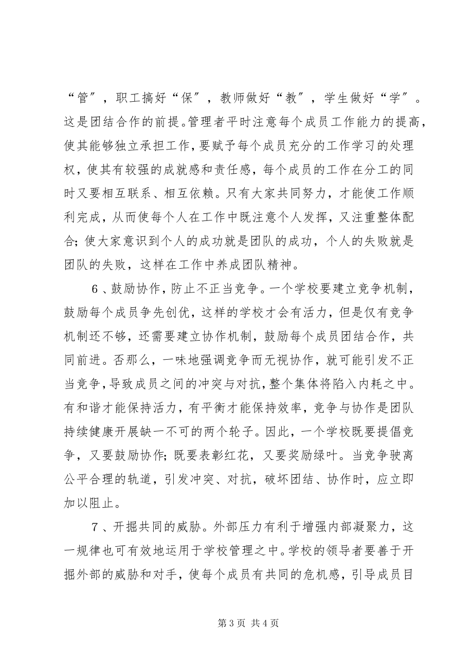 2023年学校制度怎样培育集体精神.docx_第3页