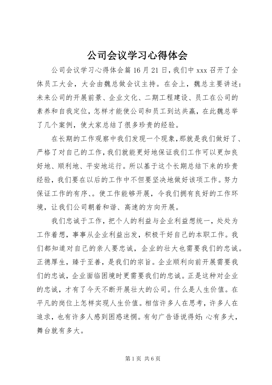 2023年公司会议学习心得体会.docx_第1页