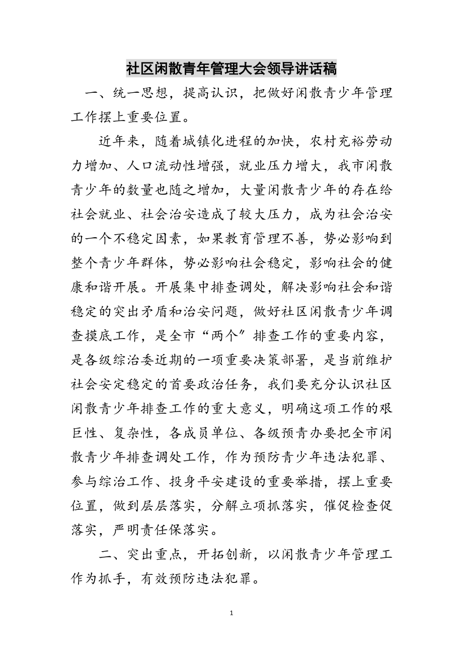 2023年社区闲散青年管理大会领导讲话稿范文.doc_第1页