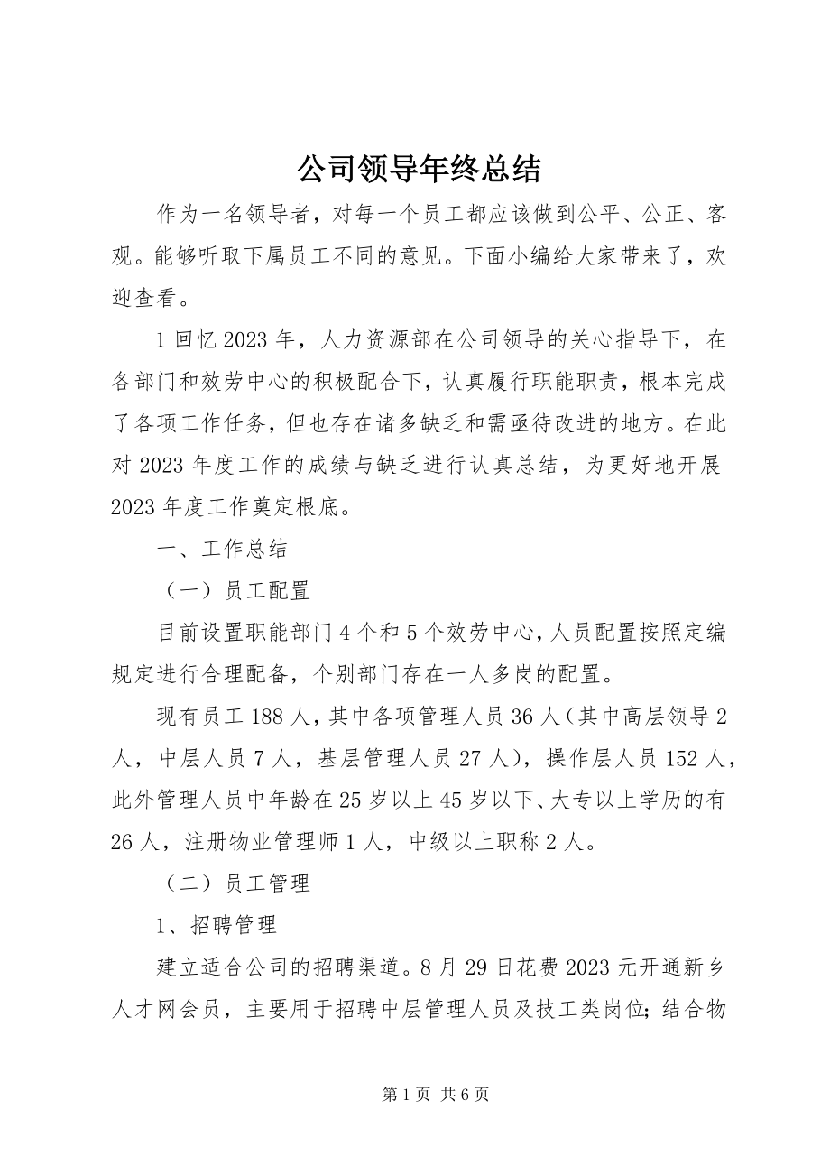 2023年公司领导年终总结.docx_第1页