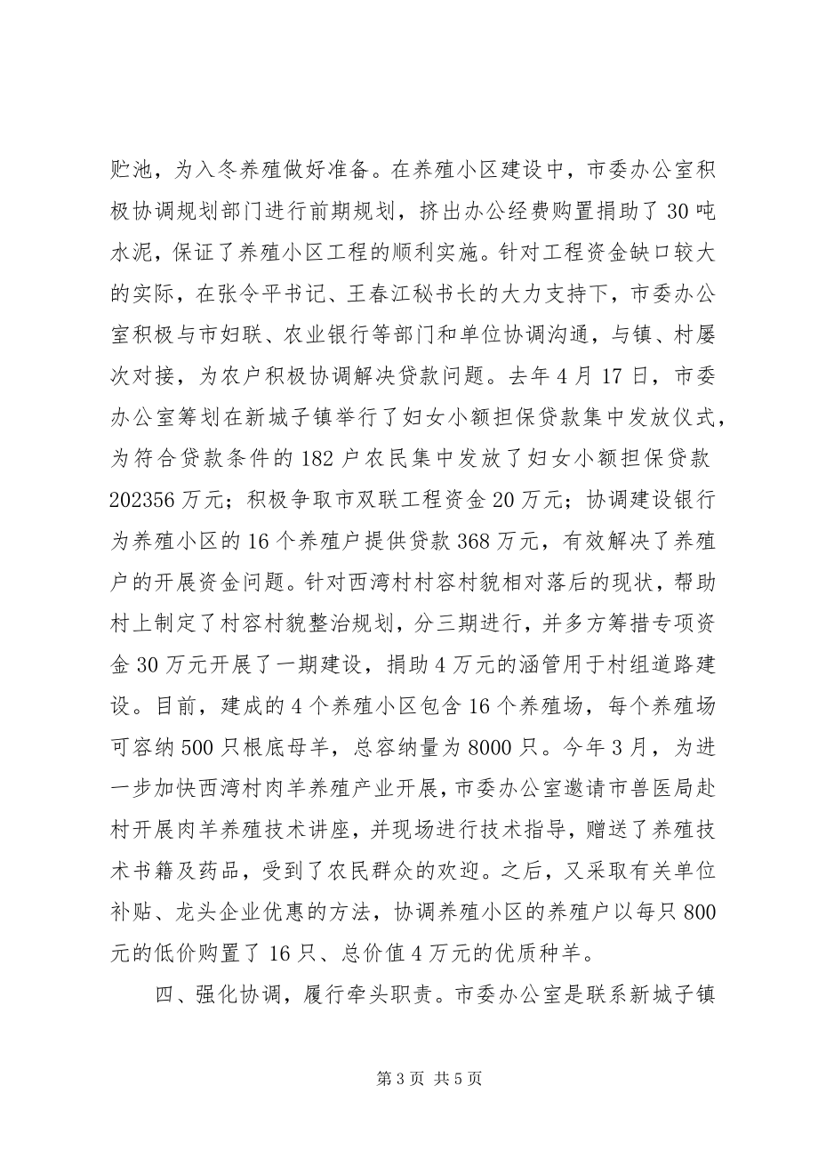 2023年市委办公室“双联”行动典型材料.docx_第3页