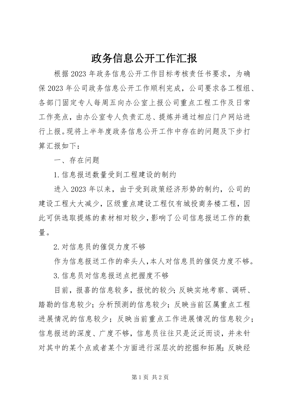 2023年政务信息公开工作汇报.docx_第1页