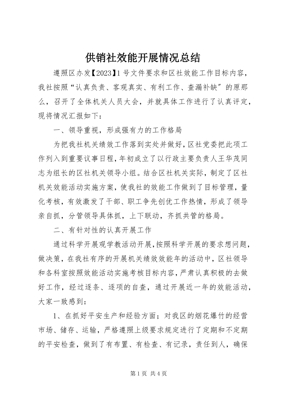 2023年供销社效能开展情况总结.docx_第1页