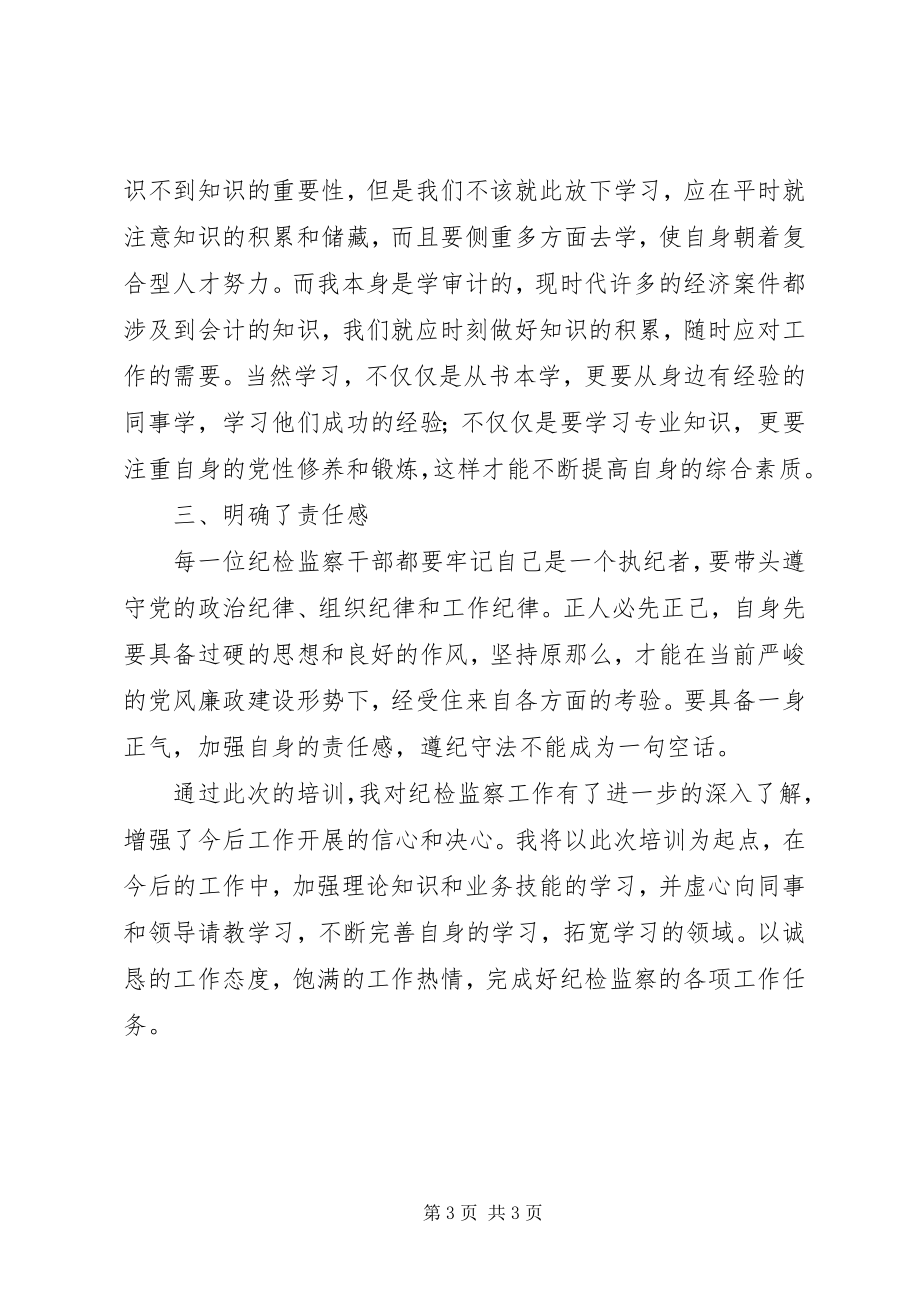 2023年纪检的心得体会.docx_第3页