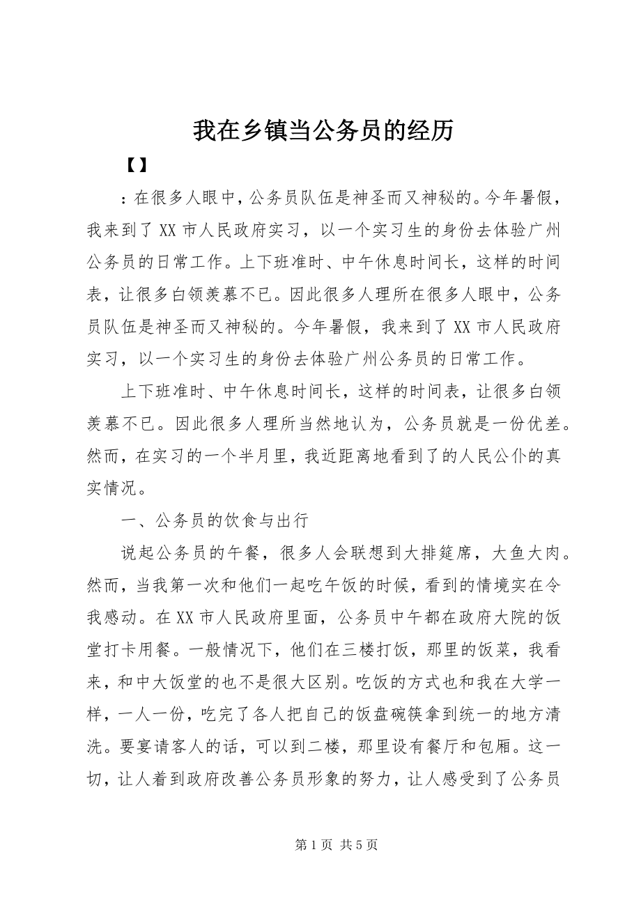 2023年我在乡镇当公务员的经历.docx_第1页