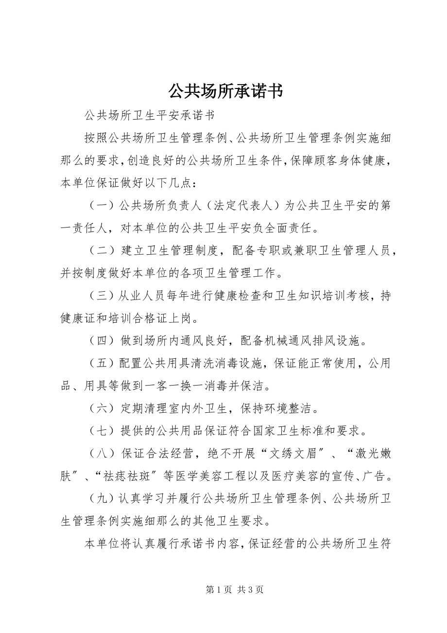 2023年公共场所承诺书.docx_第1页