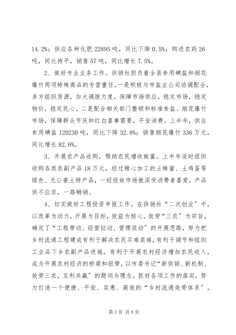 2023年县供销社上半年工作总结暨下半年工作要点.docx_第3页