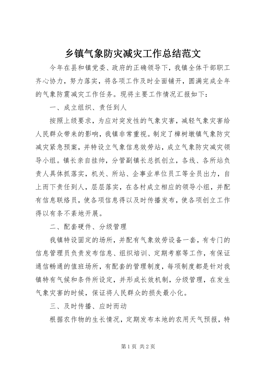 2023年乡镇气象防灾减灾工作总结.docx_第1页