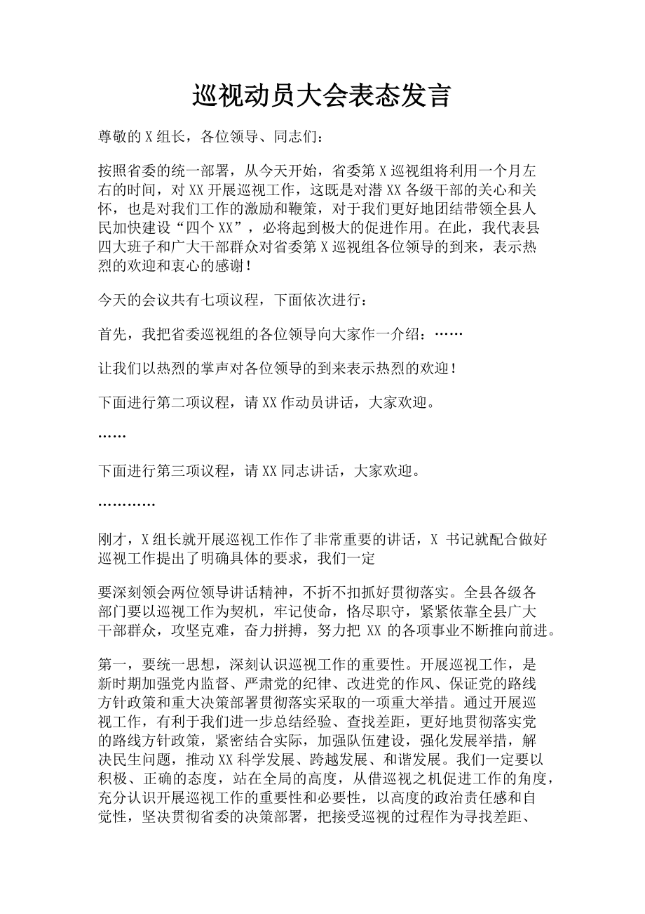 2023年巡视动员大会表态发言.doc_第1页