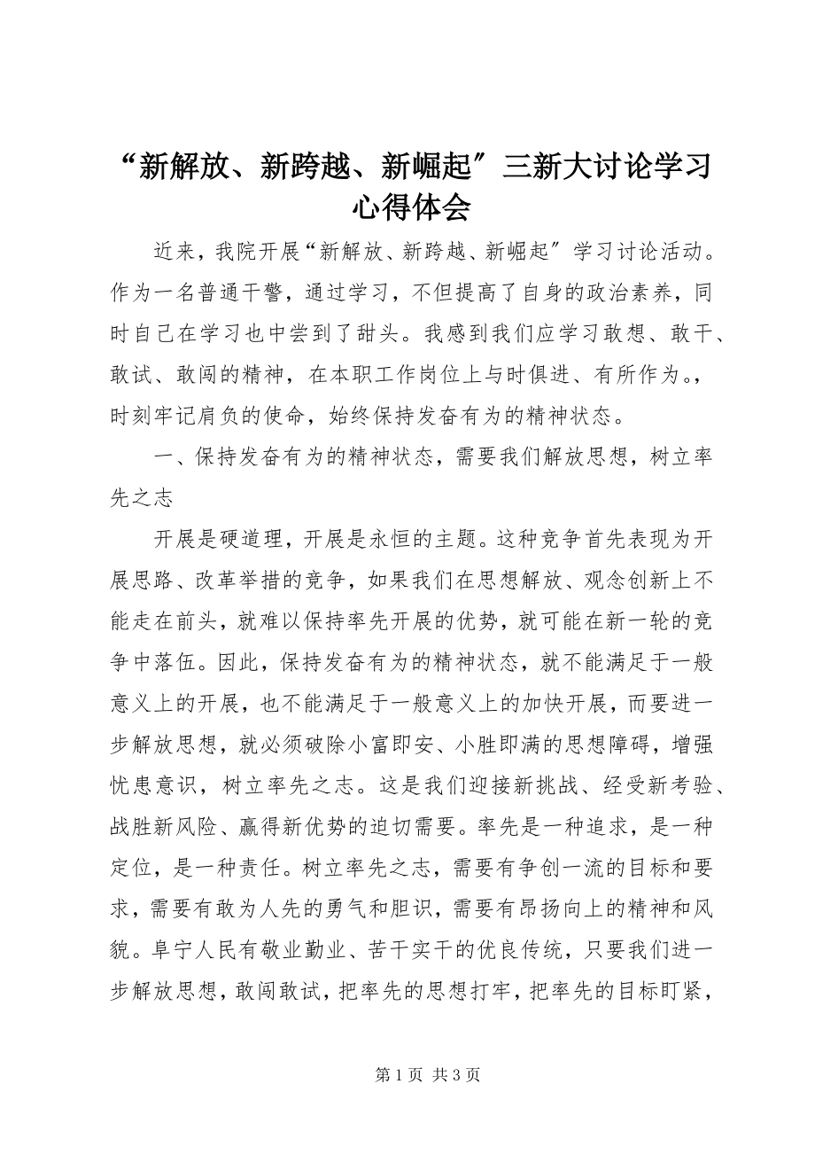 2023年新解放新跨越新崛起三新大讨论学习心得体会.docx_第1页