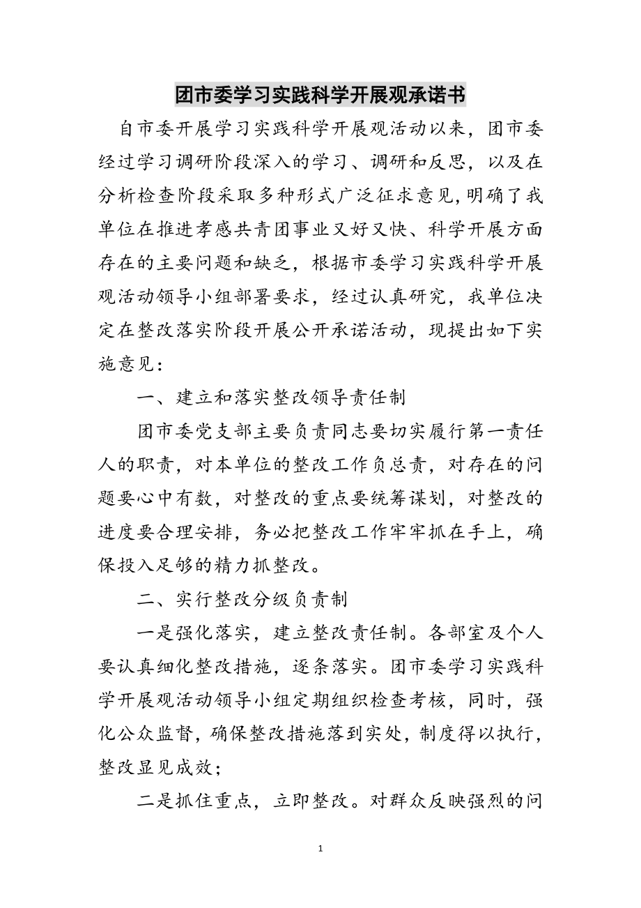 2023年团市委学习实践科学发展观承诺书范文.doc_第1页