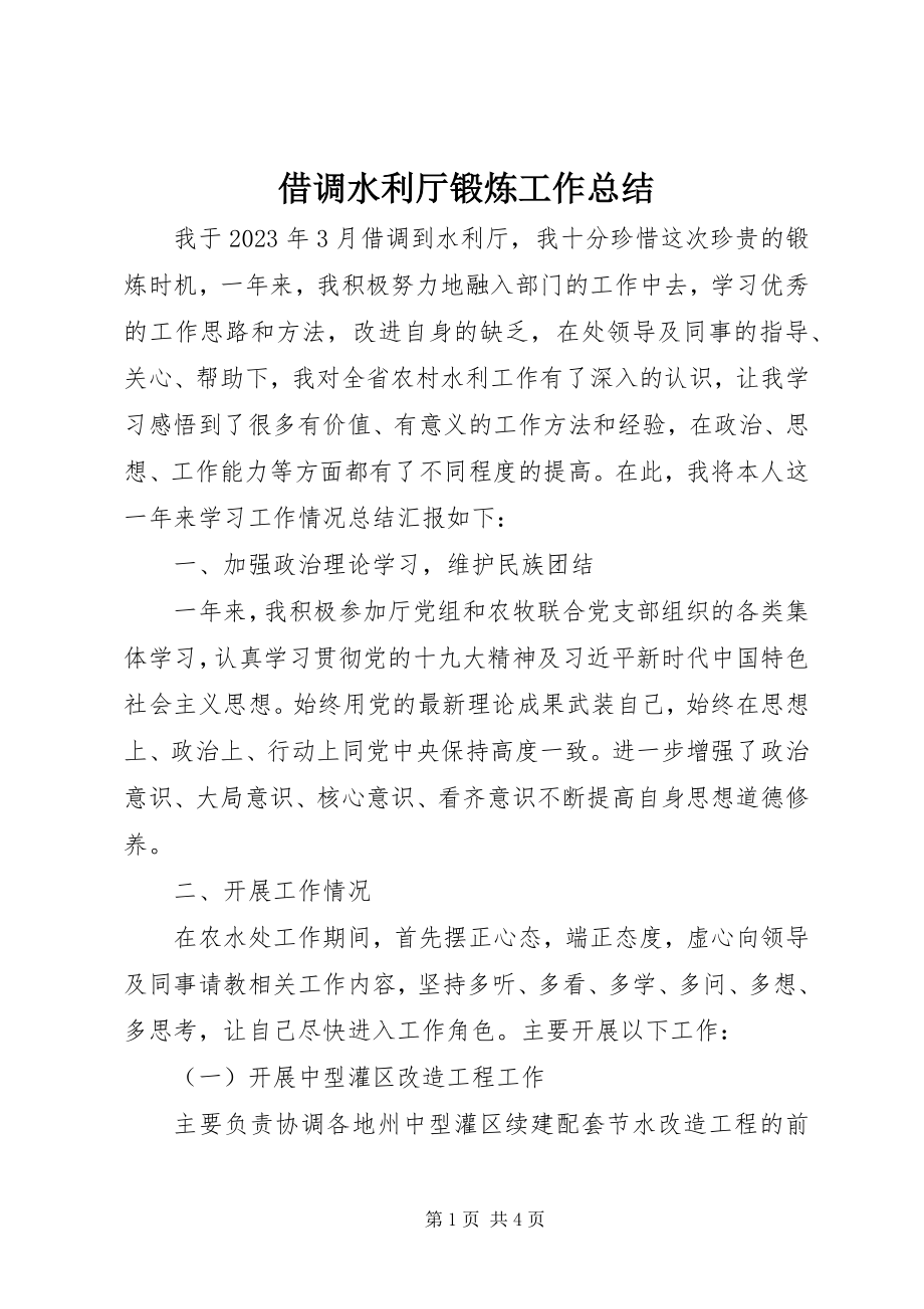 2023年借调水利厅锻炼工作总结.docx_第1页