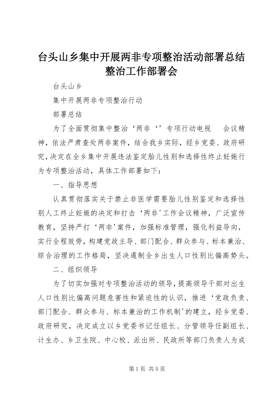 2023年台头山乡集中开展两非专项整治活动部署总结整治工作部署会.docx_第1页