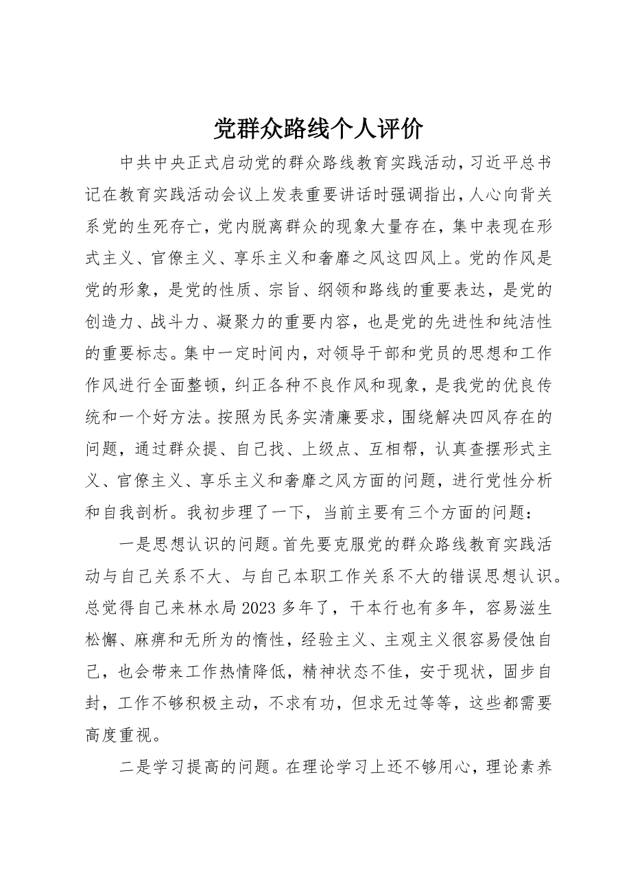 2023年党群众路线个人评价.docx_第1页