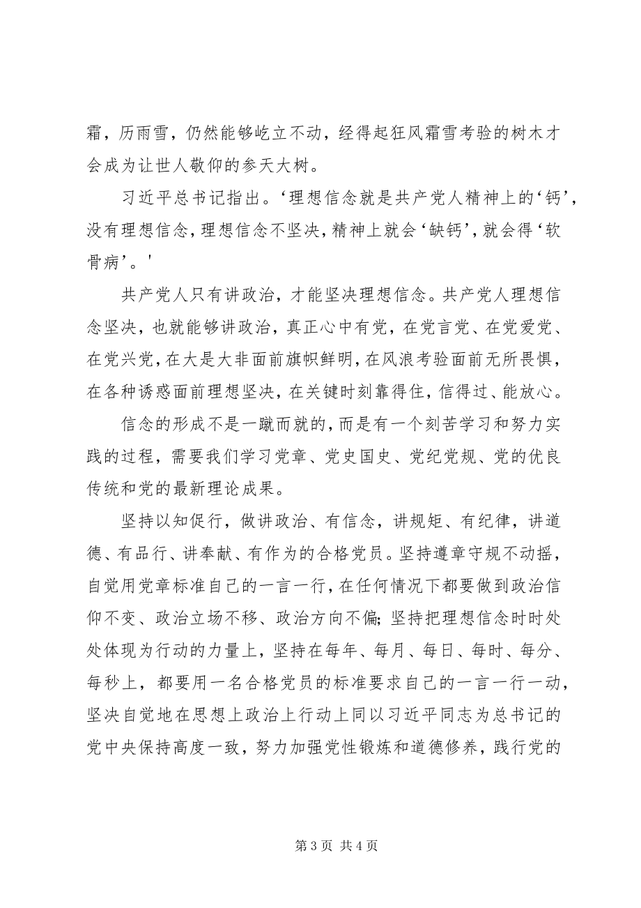 2023年做讲政治有信念的合格党员.docx_第3页