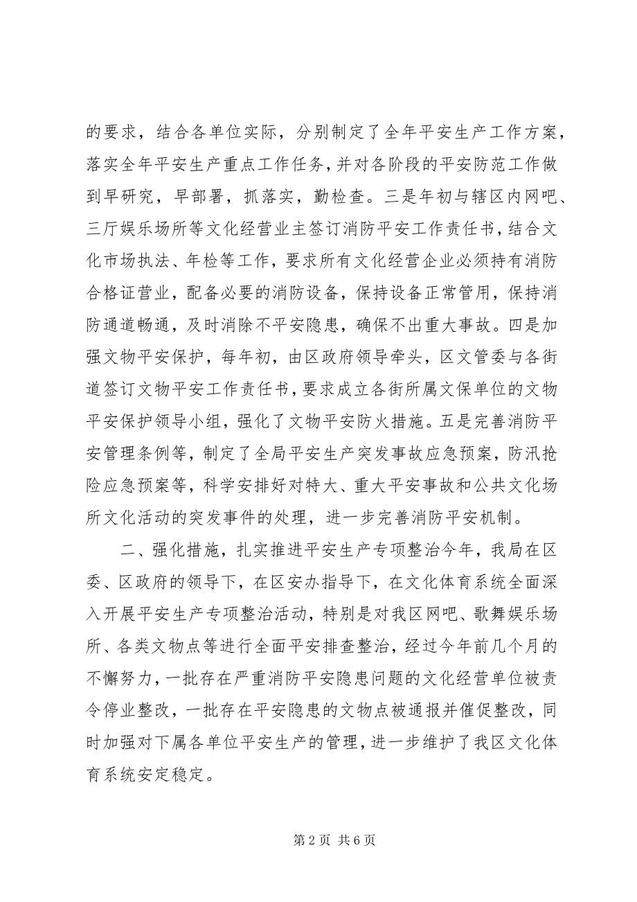 2023年文体局消防安全工作总结.docx_第2页