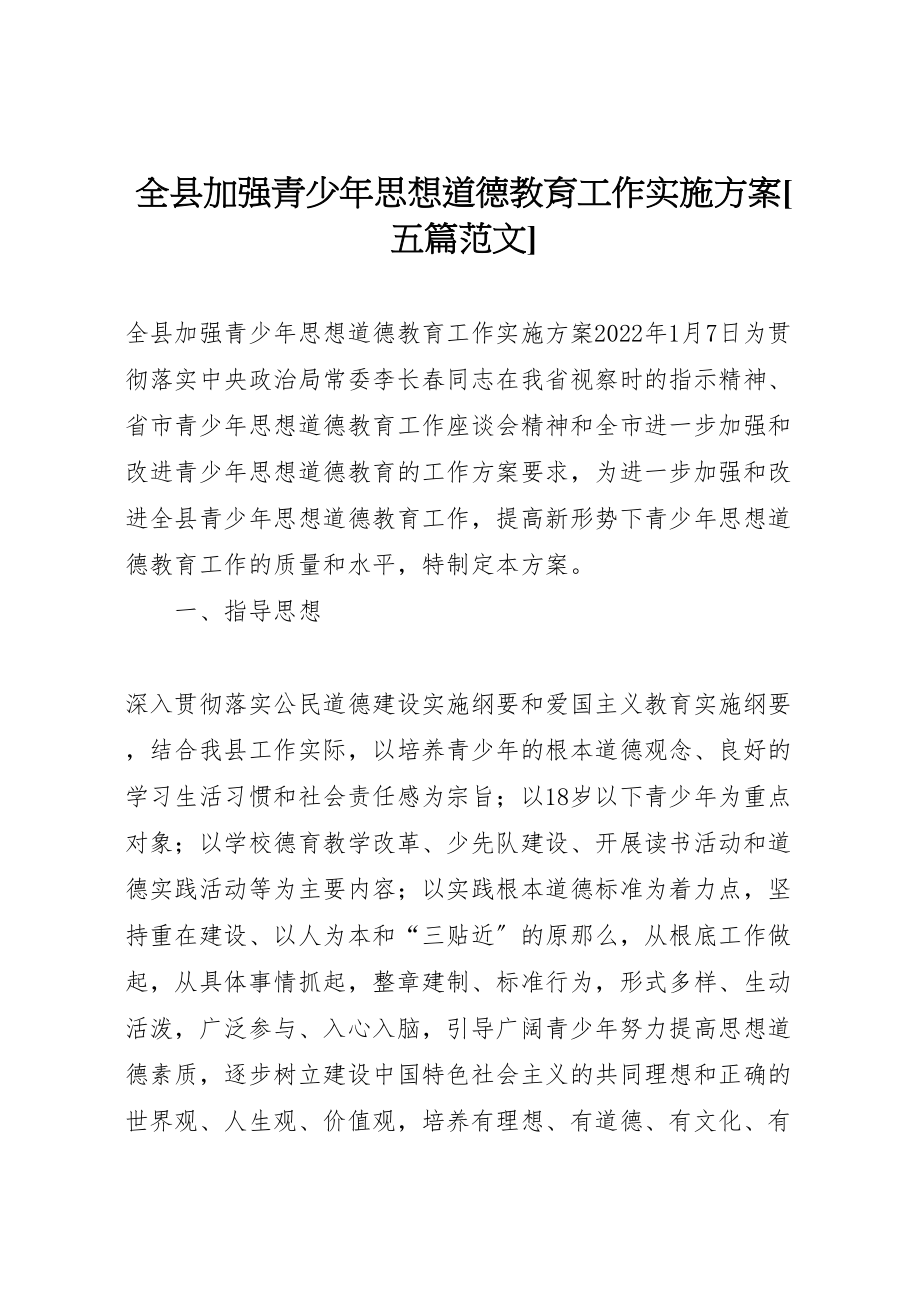 2023年全县加强青少年思想道德教育工作实施方案五篇范文 .doc_第1页