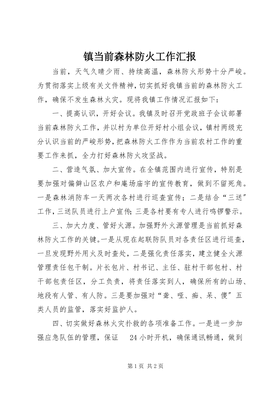 2023年镇当前森林防火工作汇报.docx_第1页