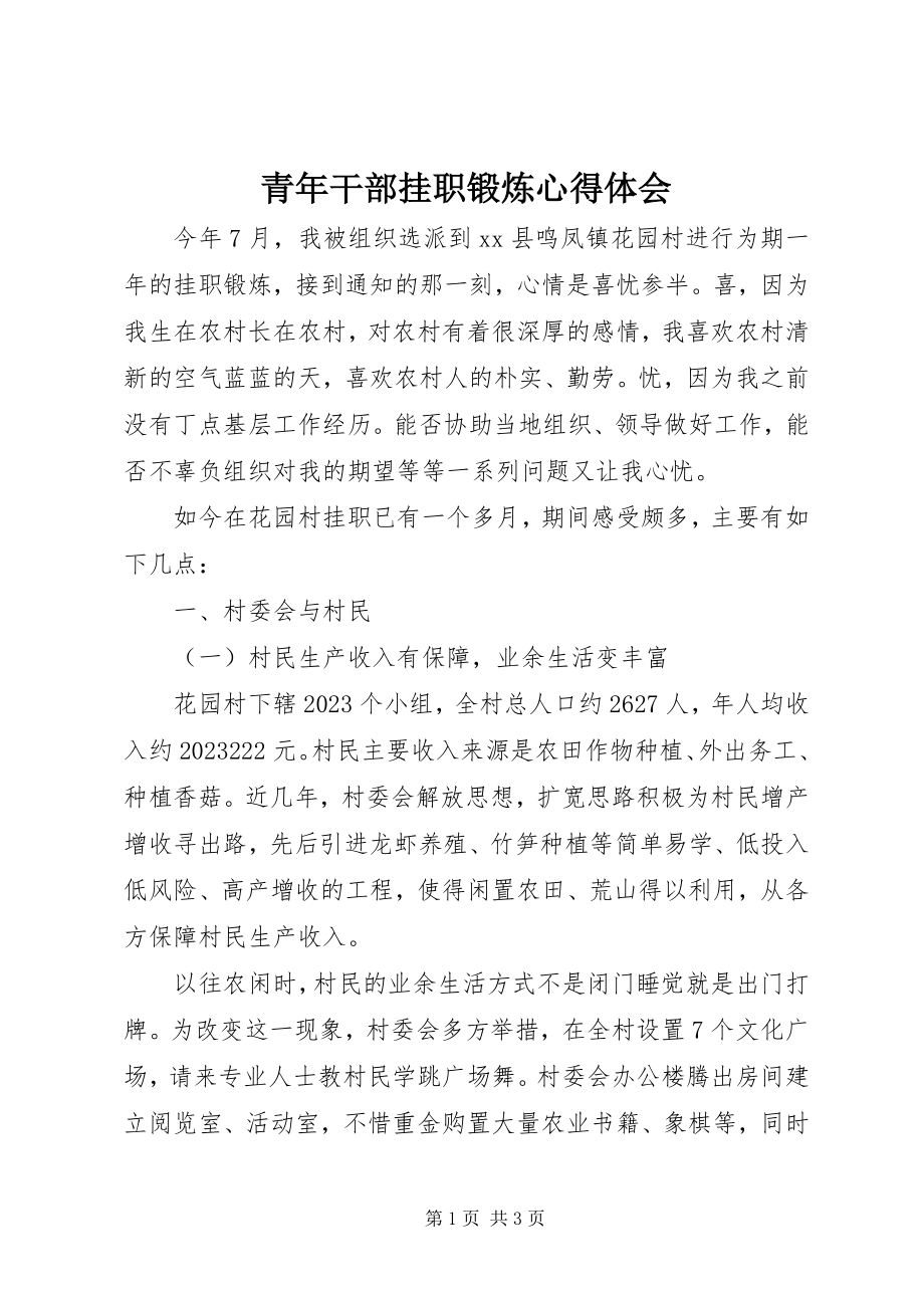 2023年青年干部挂职锻炼心得体会.docx_第1页