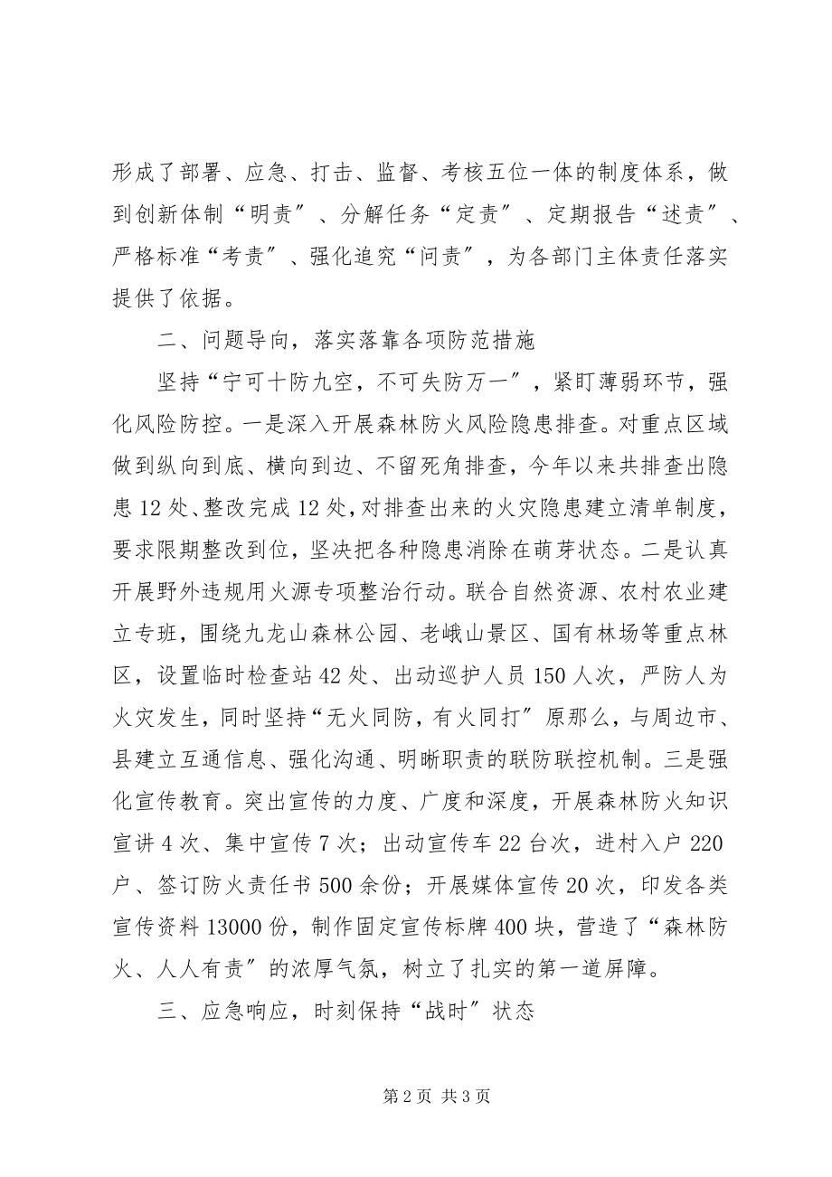 2023年公安局某年推进森林防火攻坚战工作总结.docx_第2页