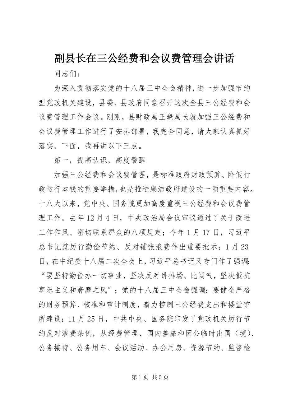 2023年副县长在三公经费和会议费管理会致辞.docx_第1页