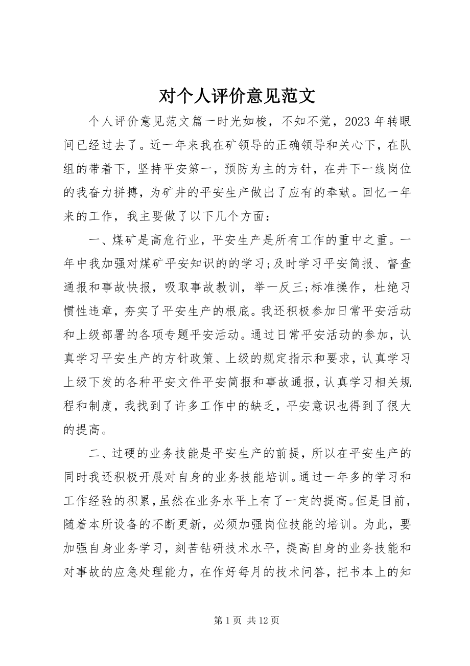 2023年对个人评价意见精选.docx_第1页