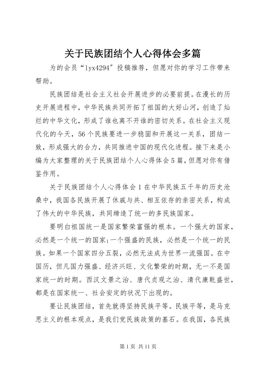 2023年民族团结个人心得体会多篇.docx_第1页