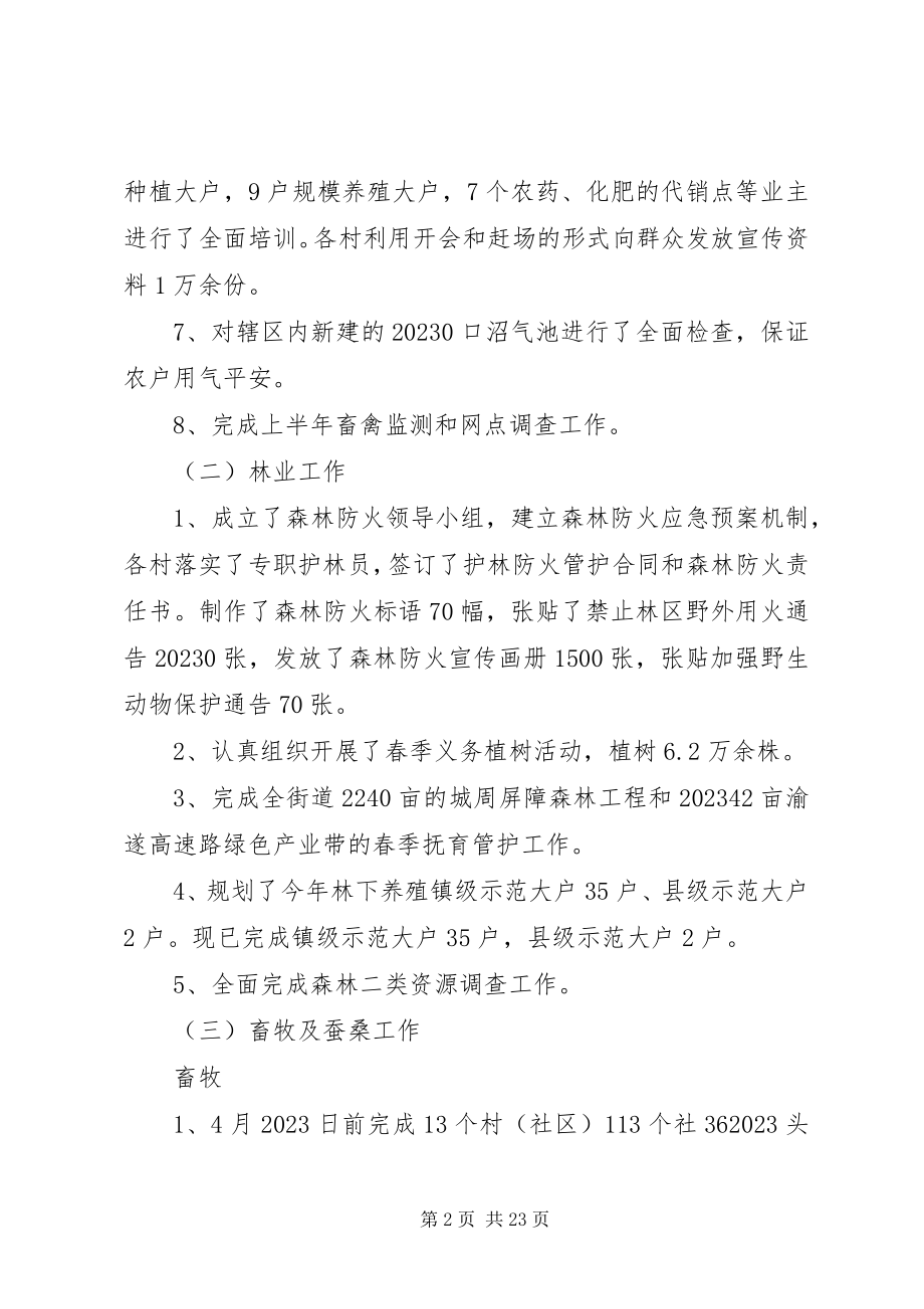 2023年新农办年半年工作总结.docx_第2页